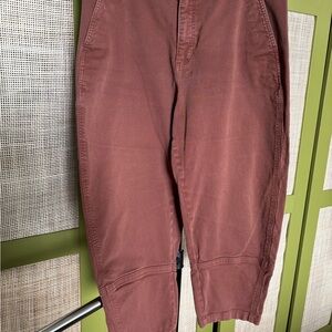 Everlane Utility Barrel Pant
